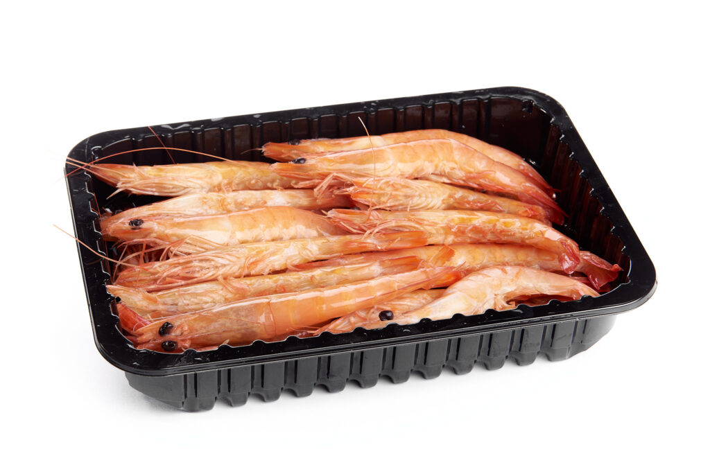 vixuart-la-mar-sala-095