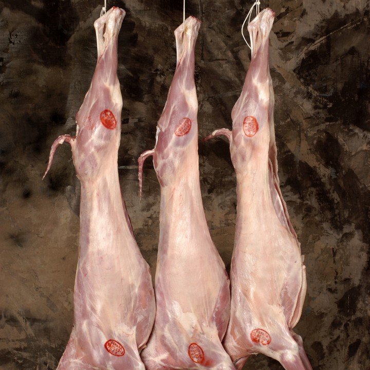 Imagen del producto Canal de Choto