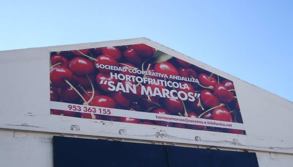 Cooperativa San Marcos