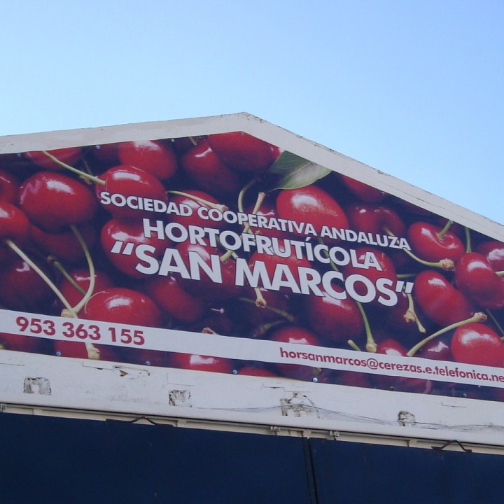 Cooperativa San Marcos