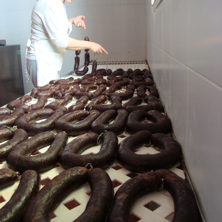 Curando la morcilla