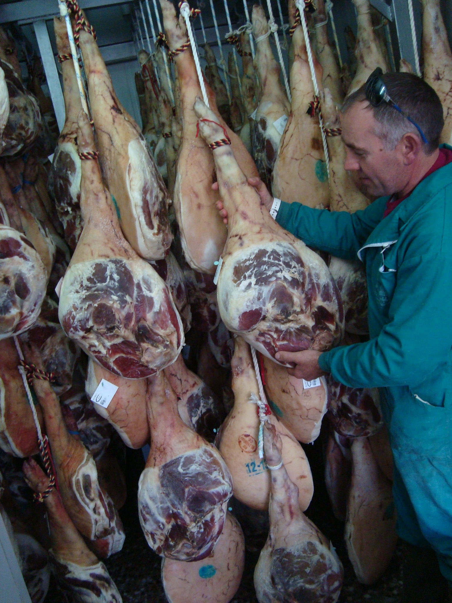 Revisando la curación