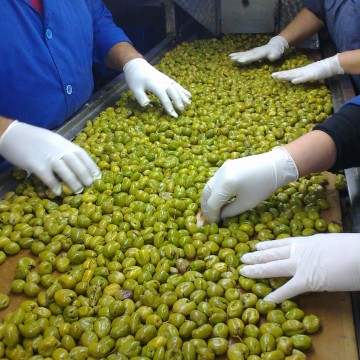 Imagen de Aceitunas Andújar. Ver empresa