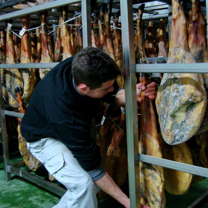 Revisando el género