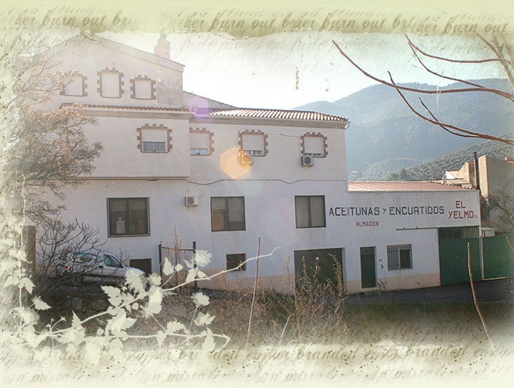 Imagen de la empresa Aceitunas El Yelmo