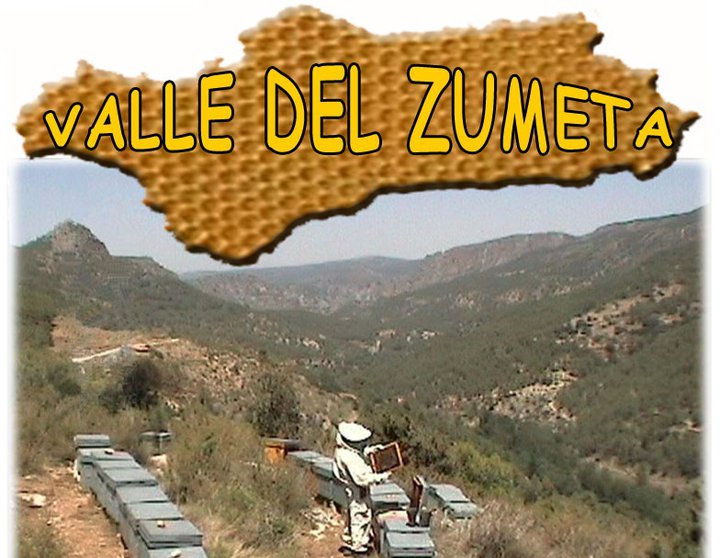 Imagen de la empresa Enjambres y Miel Valle del Zumeta